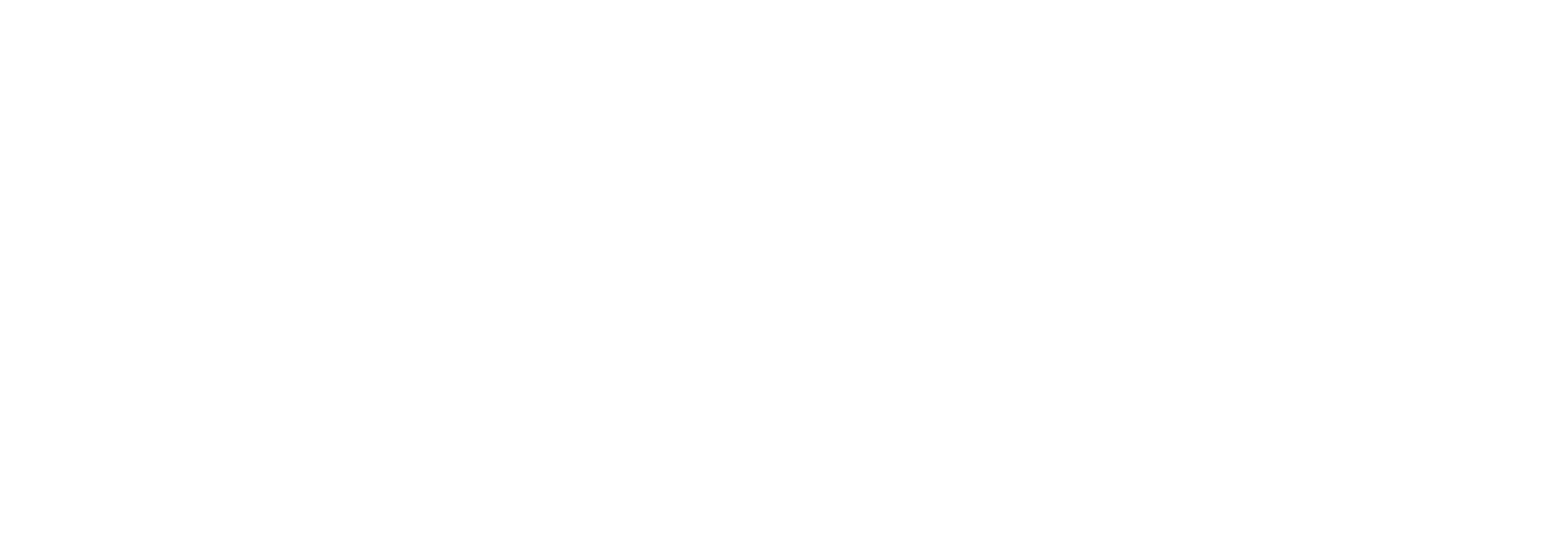 Logo BSMit